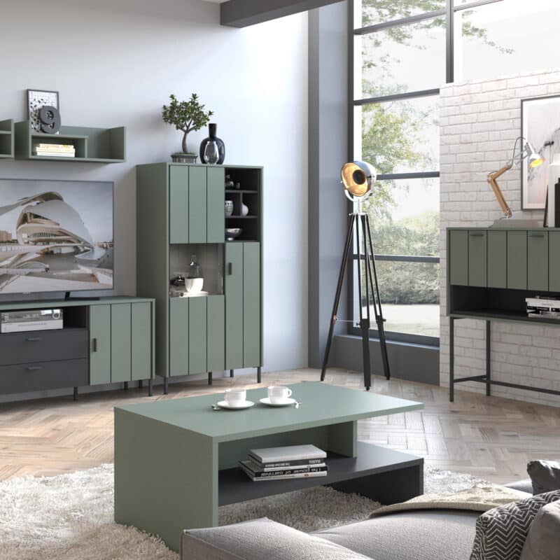 Furniture To Go Arundel Green 2 Door Display Cabinet The Home and Office Stores